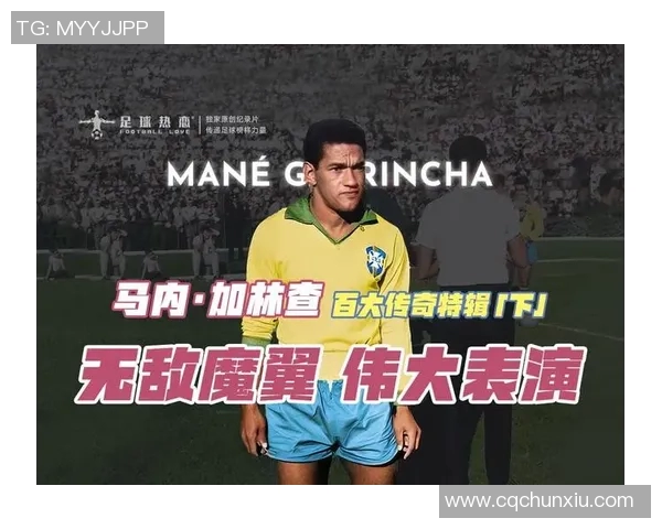 足球明星鸽子背后的故事与传奇人生揭秘